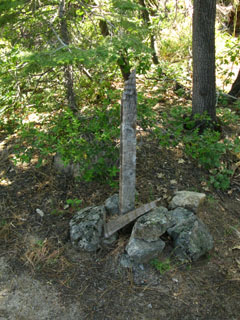 Munson Meadow Junction